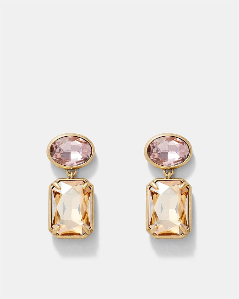 Demeanour Drop Earrings