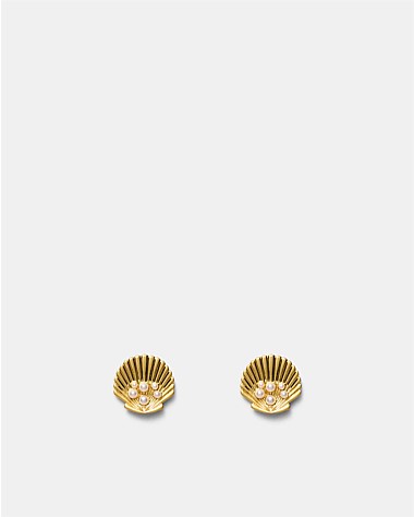 Shell Stud Earrings
