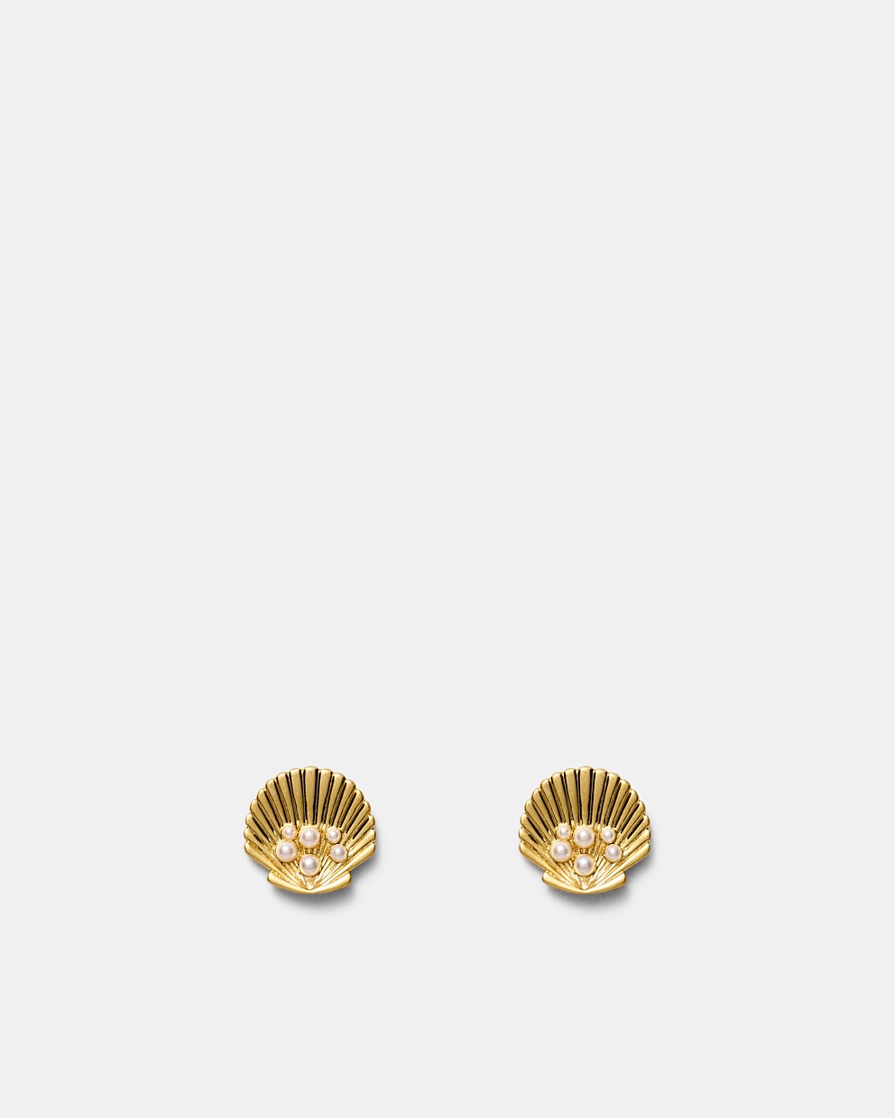 Shell Stud Earrings