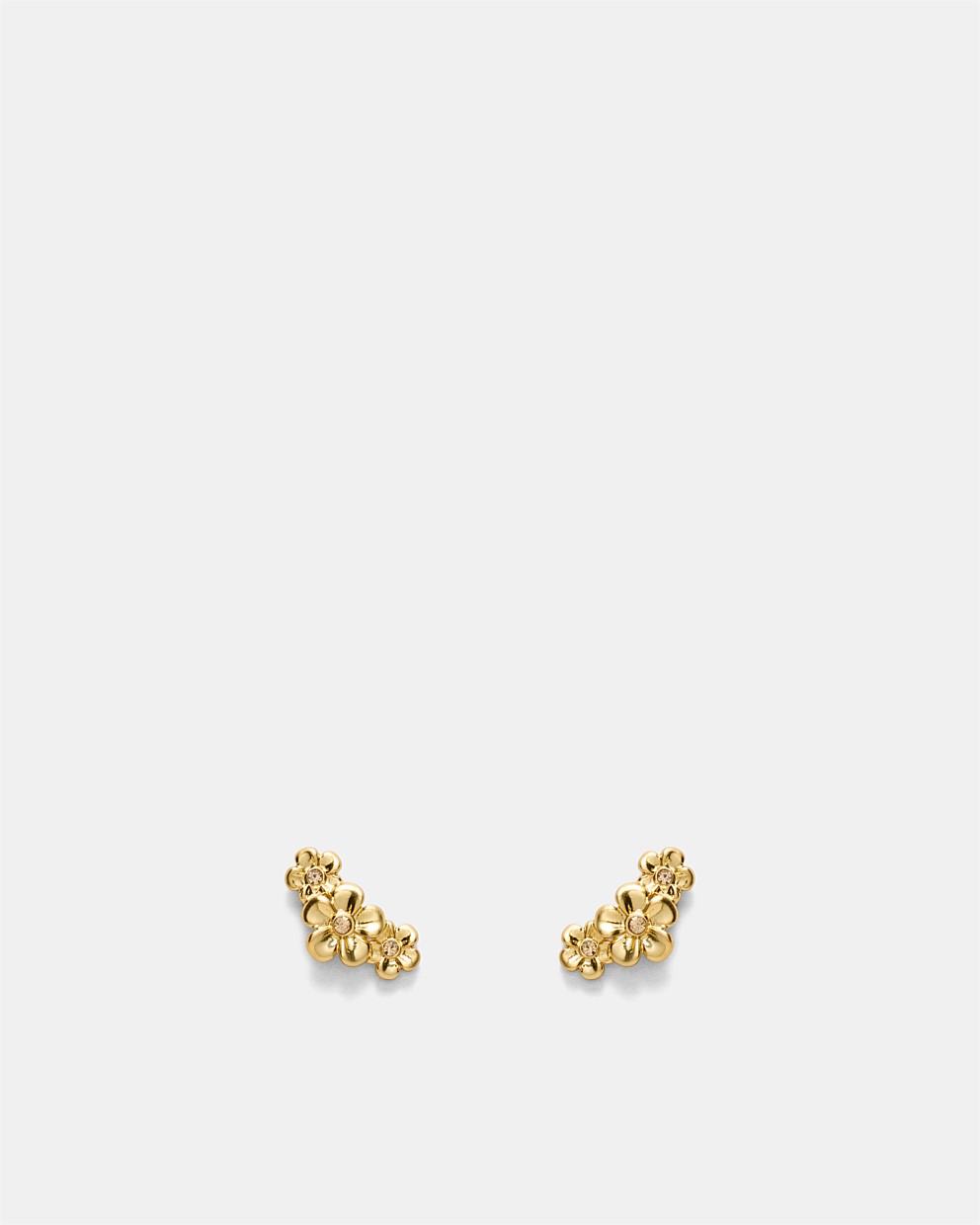 Garden Climber Stud Earrings