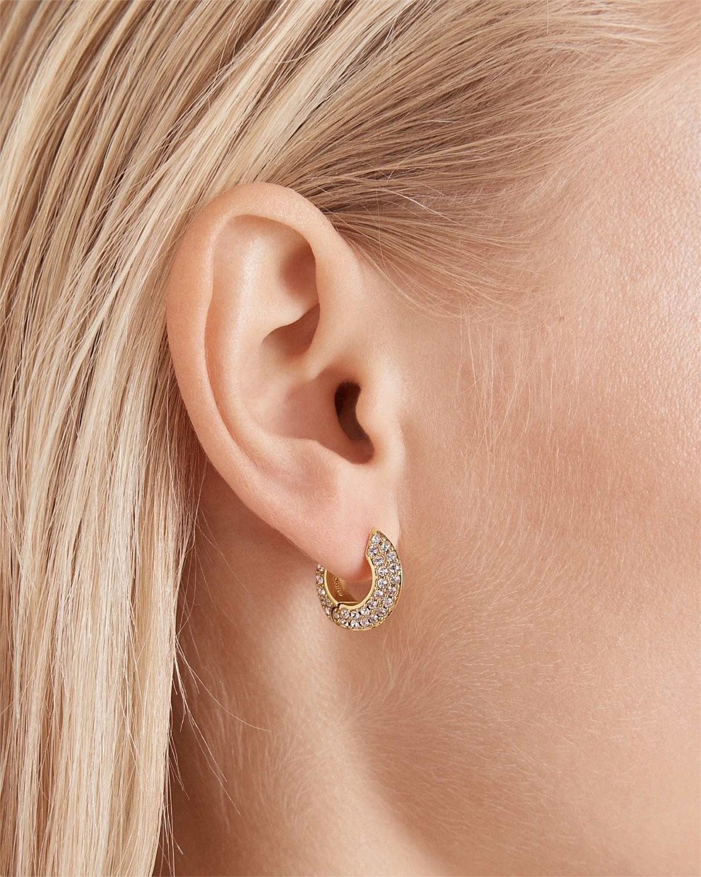 The Edge Hoop Earrings