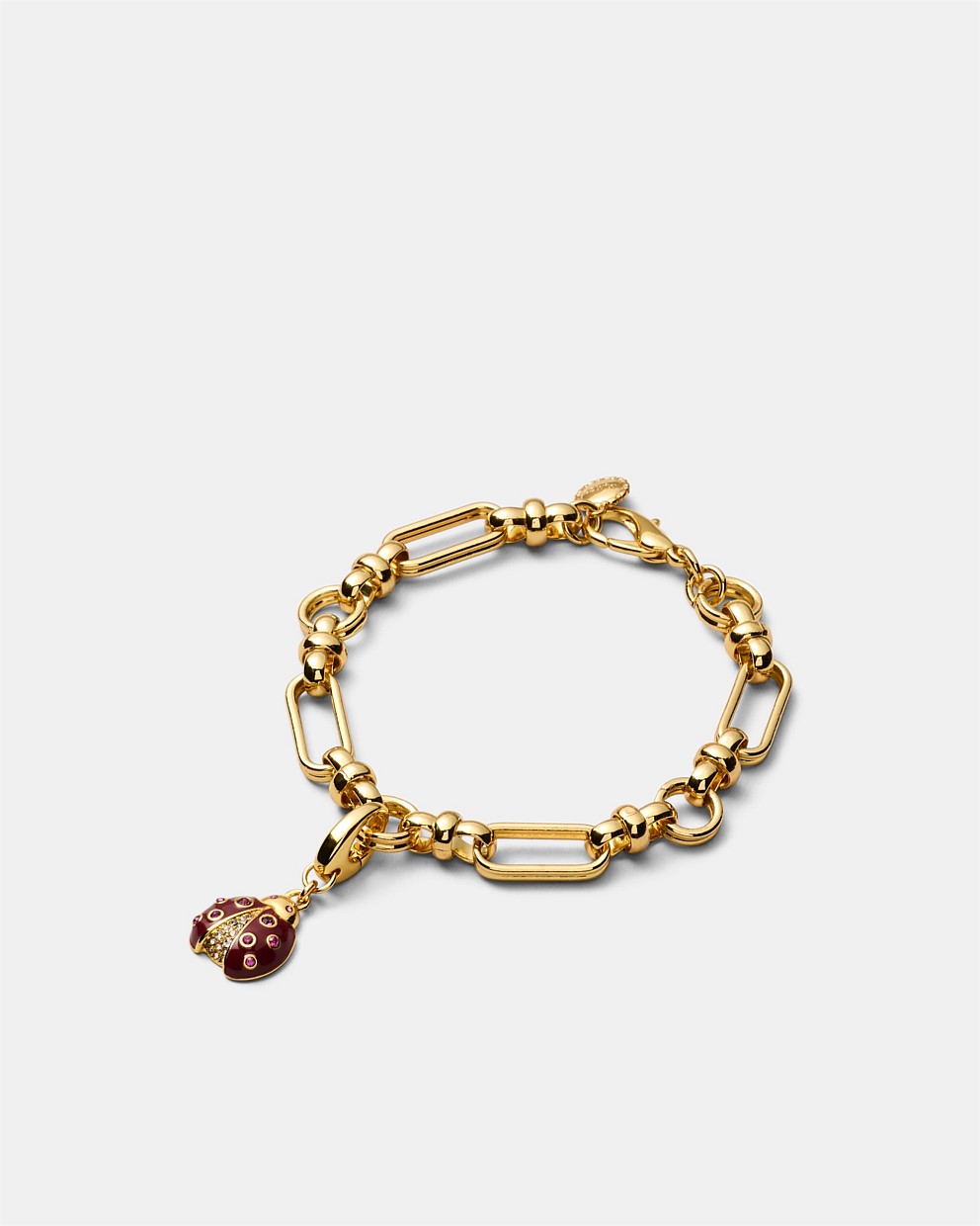 Lady Love Bug Charm
